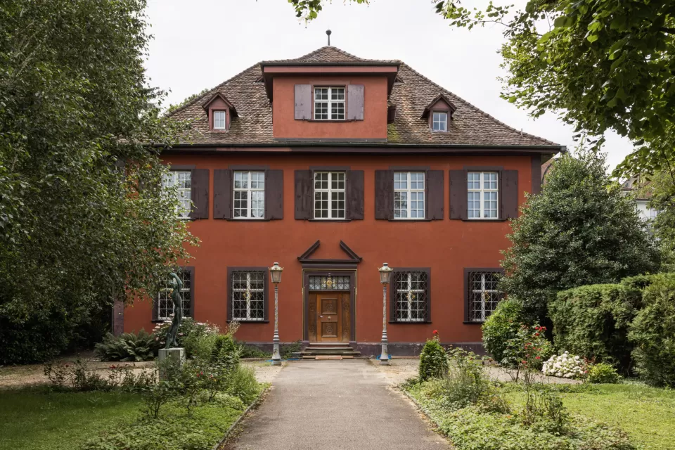 szvg (1)